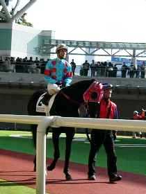 �f�r���[��̃V���N�o�V���X�N