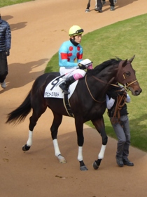 �f�r���[�X�}���g2���by�����N�R��