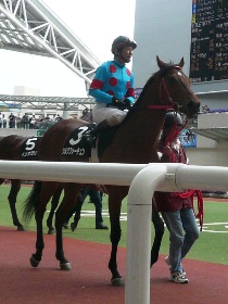 �R�[����S�̃V���N�t�H�[�`����by�A���J�c