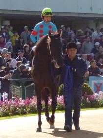 �f�r���[��̃��X�g�C���p�N�gby��c�R��