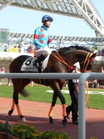 �x�b�����W�[�i10���by�H�R�R��