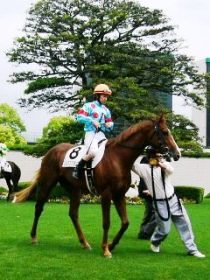 �R��ڂ̃V���N�X�N�����u��