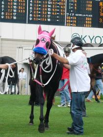 �V��ڂ̃E�C���T�E�U�[