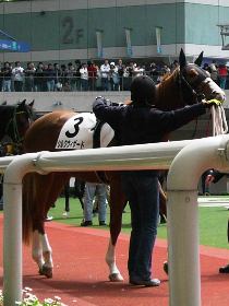 �Q��ڂ̃V���N�E�B�U�[�h