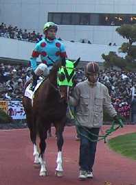 �Q��ڂ̃V���N�o�E���T�[