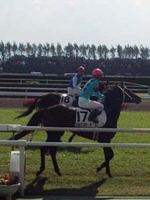 �f�r���[��̃V���N�t���[��