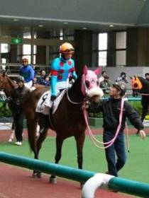 �Q��ڂ̃V���L�[�K�C�A