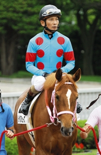 �f�r���[��̃��[�K���A�~���[�Y