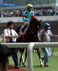 �f�r���[��̃V���L�[�t�@���O